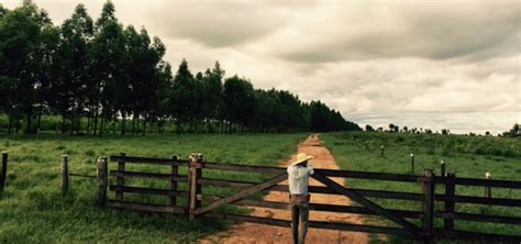 VENDA EM BONITO MS FAZENDA PARA VENDA 4 860 HECTARES