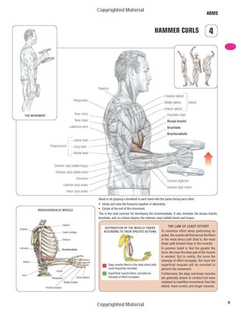 Strength Training Anatomy 3rd Edition Strength Training Anatomy