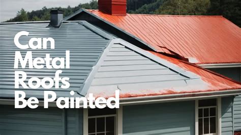 Can Metal Roofs Be Painted Tiny House Small Apartment Living