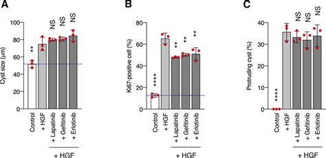 CDCP1 Promotes Compensatory Renal Growth By Integrating Src And Met