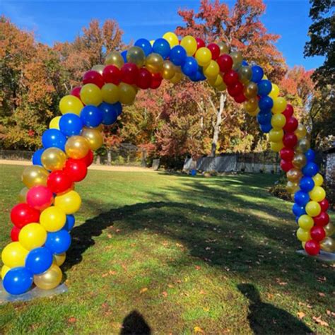 Cookie Monster Swag Balloon Arch The Brat Shack Party Store