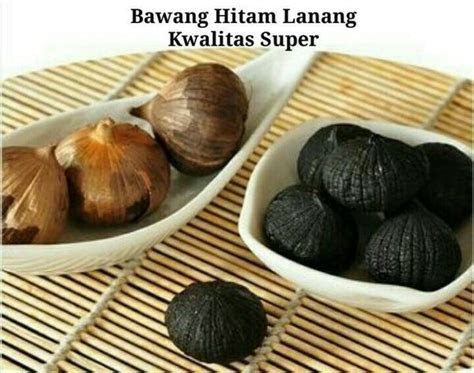 Jual Bawang Putih Tunggal Hitam Tunggal Bawang Lanang Black Garlic