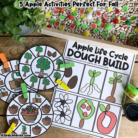 5 Apple Activities Perfect for Fall — Alleah Maree