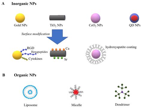 Current Nanomaterials For Regulating Macrophage Polarization A