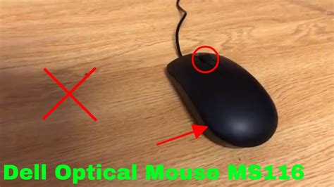 How To Use Dell Optical Mouse Ms116 Review Youtube