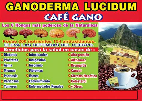 Salud Con Ganoderma Beneficios Del Ganoderma