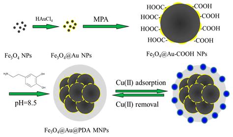 Polymers Free Full Text Preparation Of Functionalized Magnetic