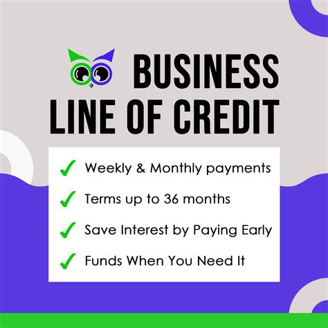 instant business   credit loan grow  business