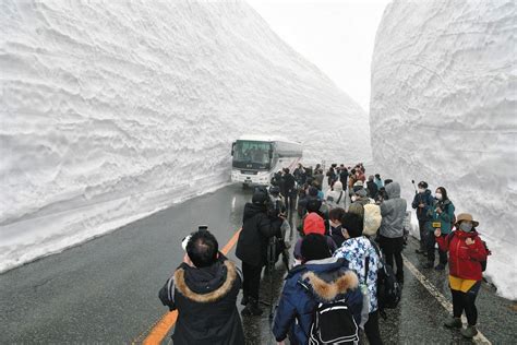 【富山】雪壁 天まで白く 立山黒部アルペンルート 全線開通：北陸中日新聞web