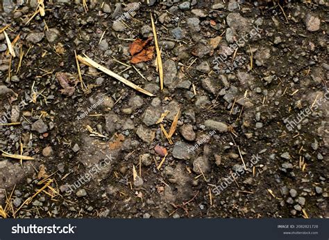 kumpulan batu images stock  vectors shutterstock