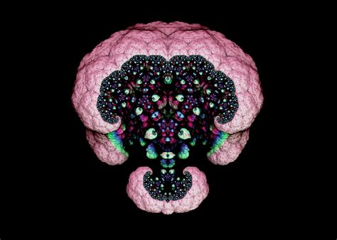 The Fractal Brain [3/6, 4080x2900] : r/DrugArt