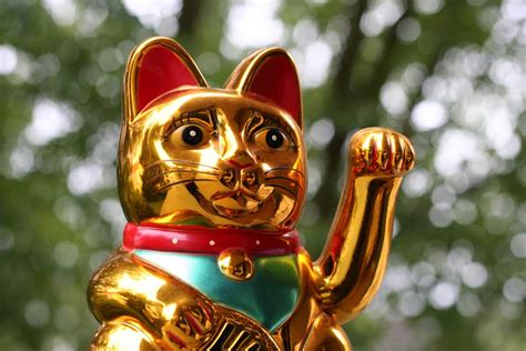 Maneki Neko - The Japanese Beckoning Cat - TheCatSite