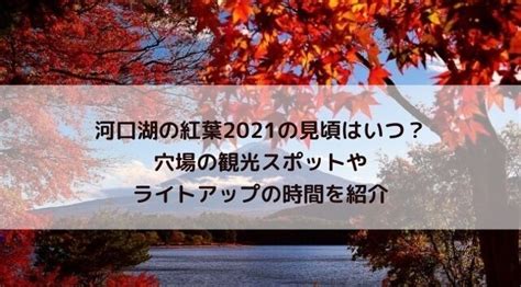 河口湖の紅葉2021の見頃はいつ？穴場の観光スポットやライトアップの時間を紹介 にこトピ