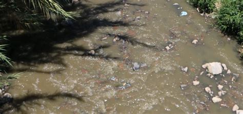 R O Salado Foco Rojo De Infecciones Por Crisis De Basura En Oaxaca