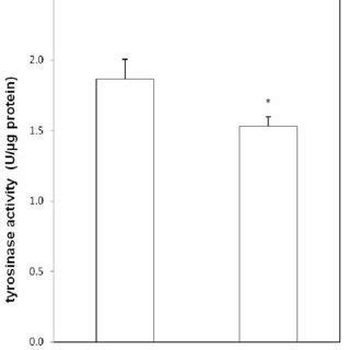 Effects Of Palm Tocotrienol Rich Fraction TRF On Melanocytes