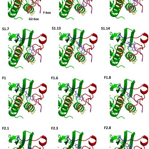 Predicted Binding Modes Of Selected HKAIs All Inhibitors Shown In