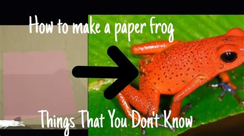 How To Make A Paper Frog Which Jumps Youtube