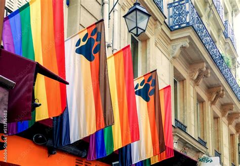 Pride Rainbow Lgbt Gay Bear Flag Being Waved On Wall Background Stock Photo Adobe Stock