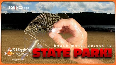 Beach Metal Detecting A State Park Lake Live Digs Minelab Equinox