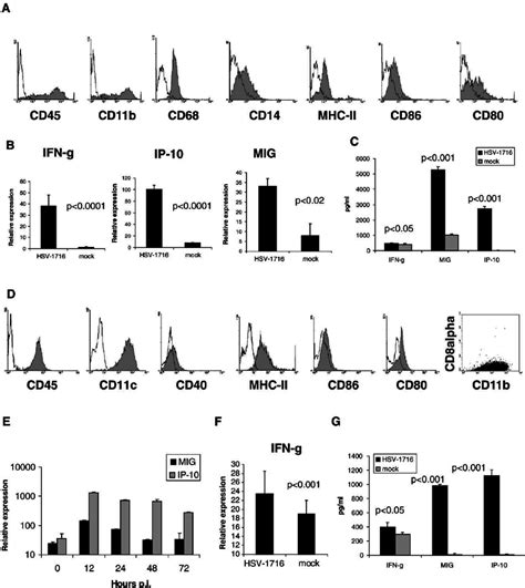 Chemokine And Cytokine Induction By HSV 1716 In Murine Monocytes And