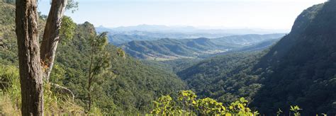 Lamington National Park & O'Reilly's, Gold Coast Hinterland - Gold Coast Australia