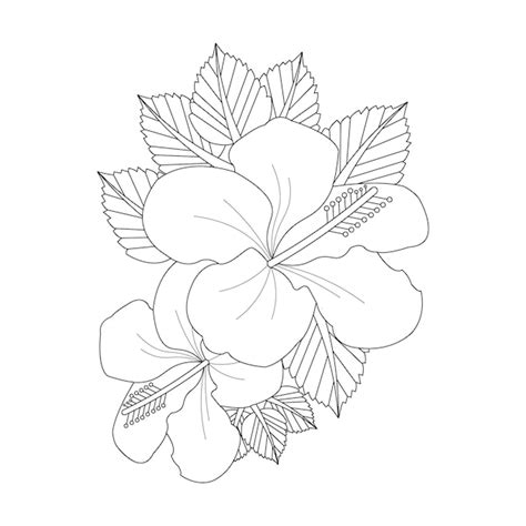 Premium Vector Hibiscus Flower Coloring Page With Line Art Flower