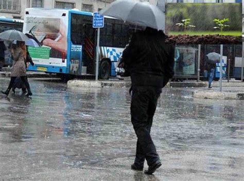 Après un stress hydrique pesant La pluie est enfin de retour Le jour