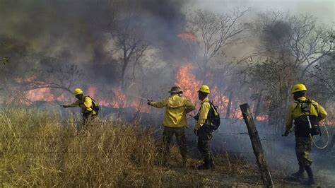 Bolivia Incendios Forestales Consumieron 5 3 Millones De Hectáreas