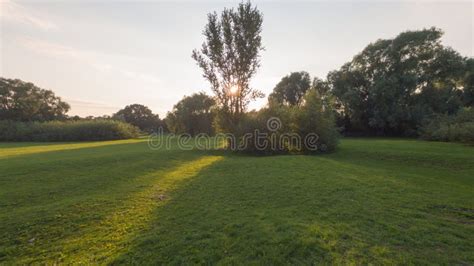 Aerial view of a park stock photo. Image of bushes, outside - 98016112