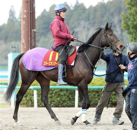 日曜メインレースの注目激走馬阪神11r桜花賞・g1 Umatoku 馬トク