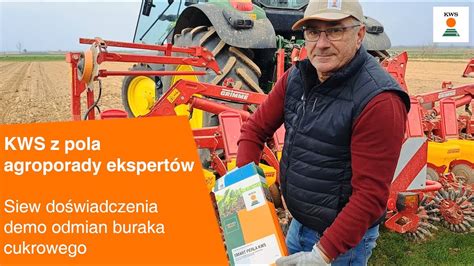 Siew doświadczenia demo odmian buraka cukrowego KWS z pola AGROPORADY