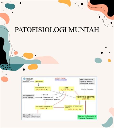 Patofisiologi Muntah | PDF