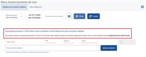 Novo Gerenciamento De Uso Extração De Relatório Analítico Com Mais De