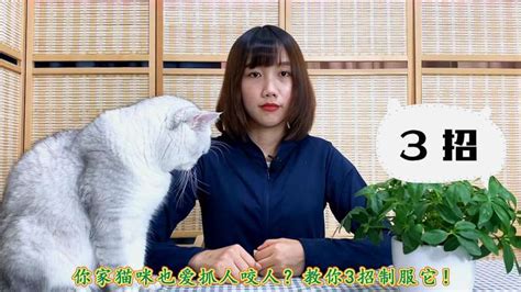 猫咪抓咬你该怎么办？学会这三招，新手猫奴也可以轻松应对啦！ 生活 生活技巧 好看视频