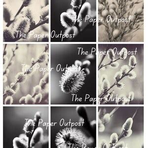PUSSYWILLOW Vintage Digikit Digital Kit Digital Printable Digital Pussy Willow Fall Autumn Dried
