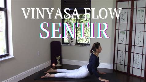 Vinyasa Para Principiantes Sentir Youtube