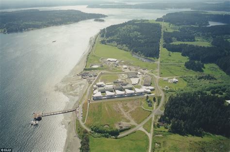 Washington State Sends Violent Sex Offenders To Island Daily Mail Online