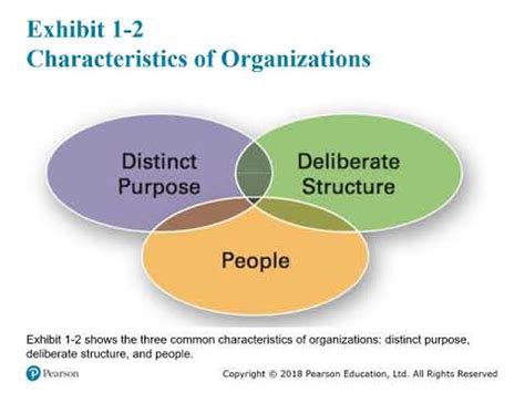 What Are The Three Principles Of Management Wiki REF