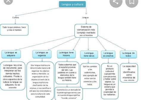 Un Organizador Sobre La Cultura Ica Porfavor Brainly Lat