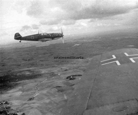 Orig Negativ Foto Messerschmitt Bf Flugzeug M Wappen Der Jg Im