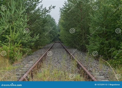 Old Unused Railroad Tracks Stock Image Image Of Overgrow Iron