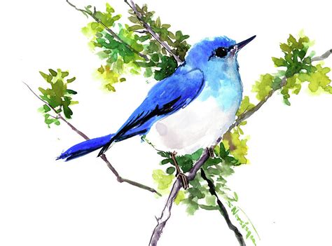 Mountain Bluebird Artwork Painting By Suren Nersisyan Fine Art America