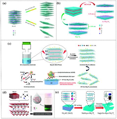 Synthesis and delamination of Nb 2 CT x . (a) Synthesis of Nb 2 CT x ...