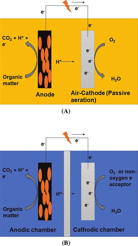 A Schematic Representation Of A Single Chambered Microbial Fuel Cell Download Scientific