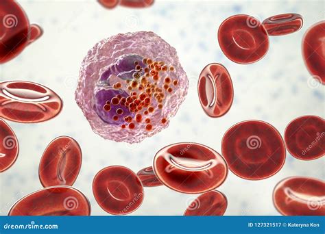 Eosinophil White Blood Cells With Transparency Membrane And