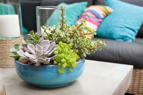 Most Beautiful Dish Gardens 12 Tips For Pretty Vegetable Gardens That