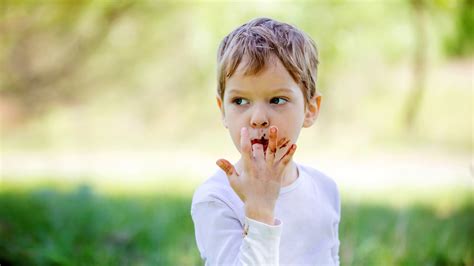 Il Cioccolato Delle Meraviglie