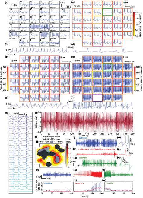 Example electrophysiological recording from one array pitch 10 µm