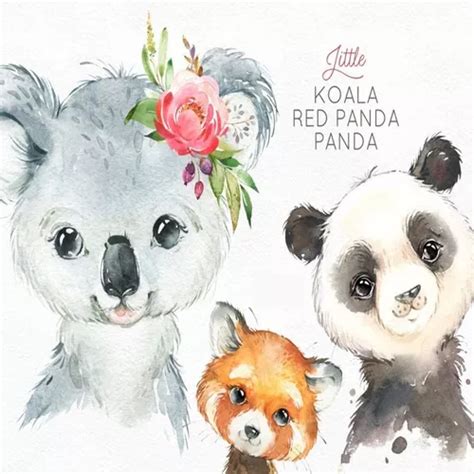 Kit Imprimible Png Clipart Panda Red Koala Acuarela 650 En