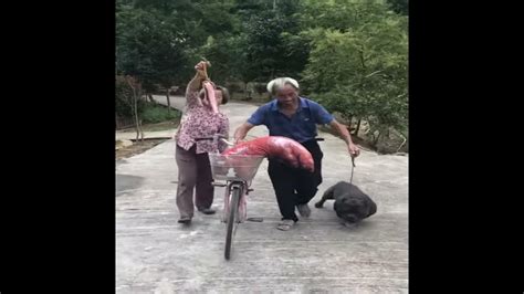 Funny Videos Tik Tok Grandpa And Grandma 268 Youtube